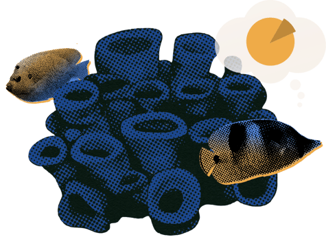 Who Should Attend Image