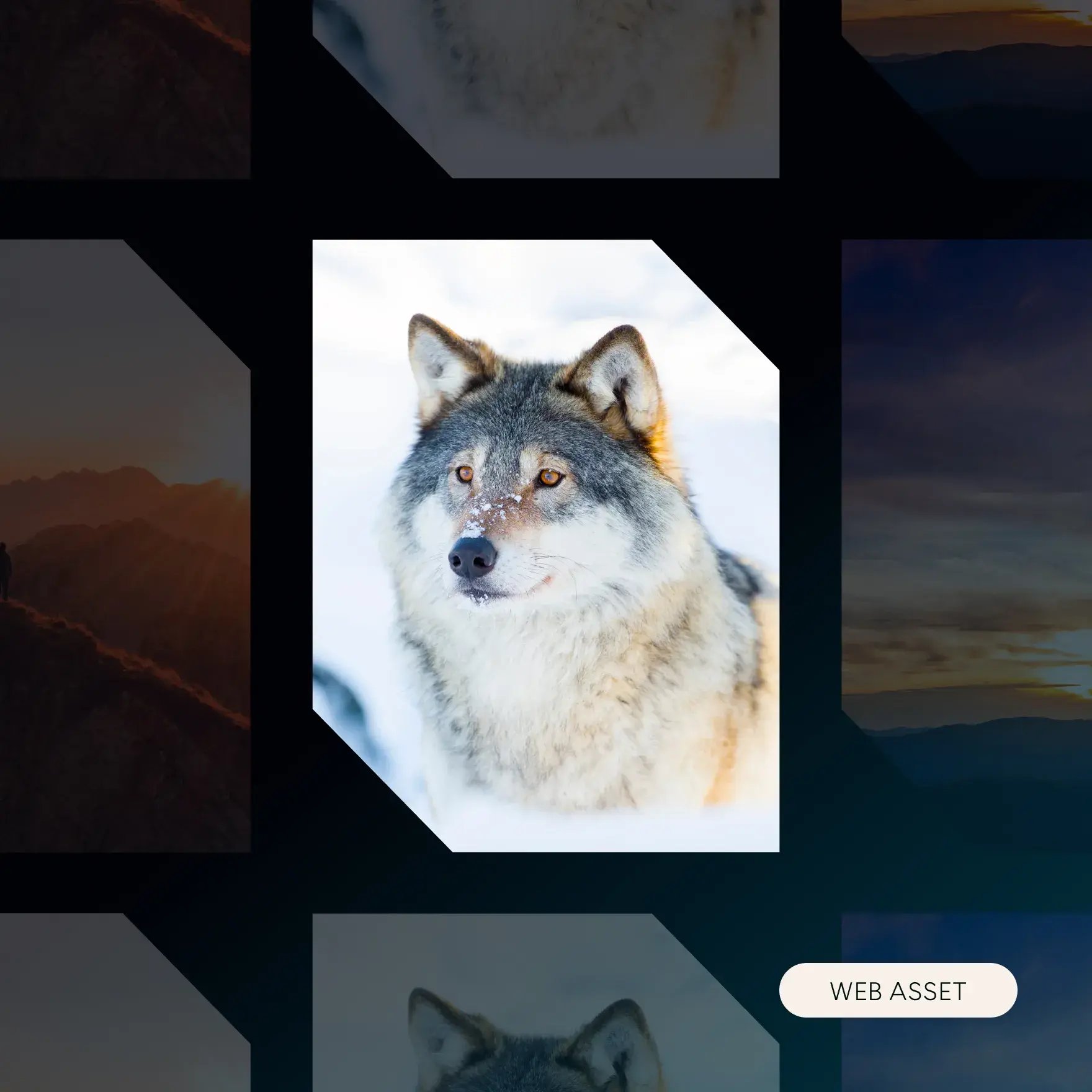 Branding-ATG-thumbnail-02