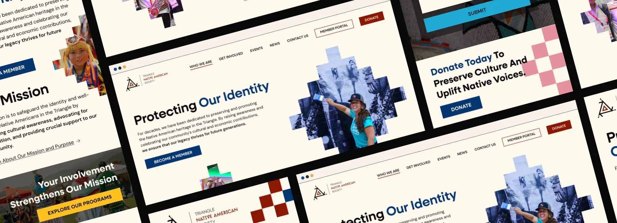 TNAS-site-graphic-01