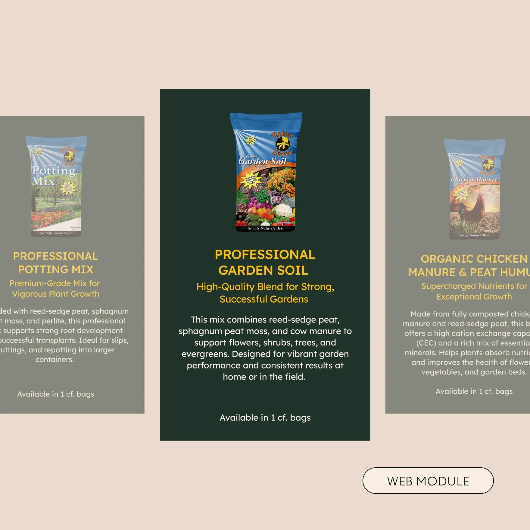 Talon-Terra-Branding-Graphic-02