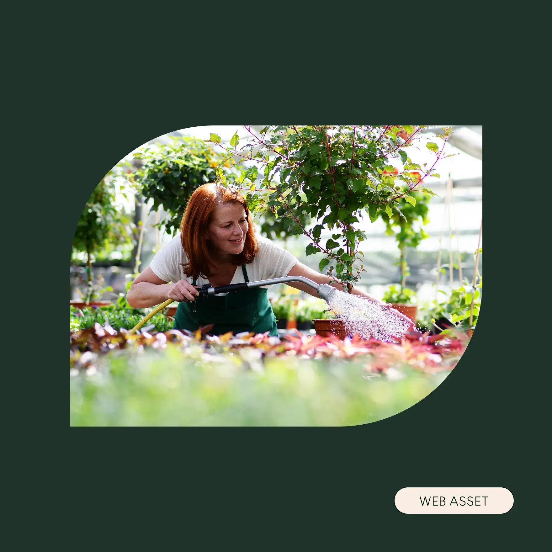 Talon-Terra-Branding-Graphic-03