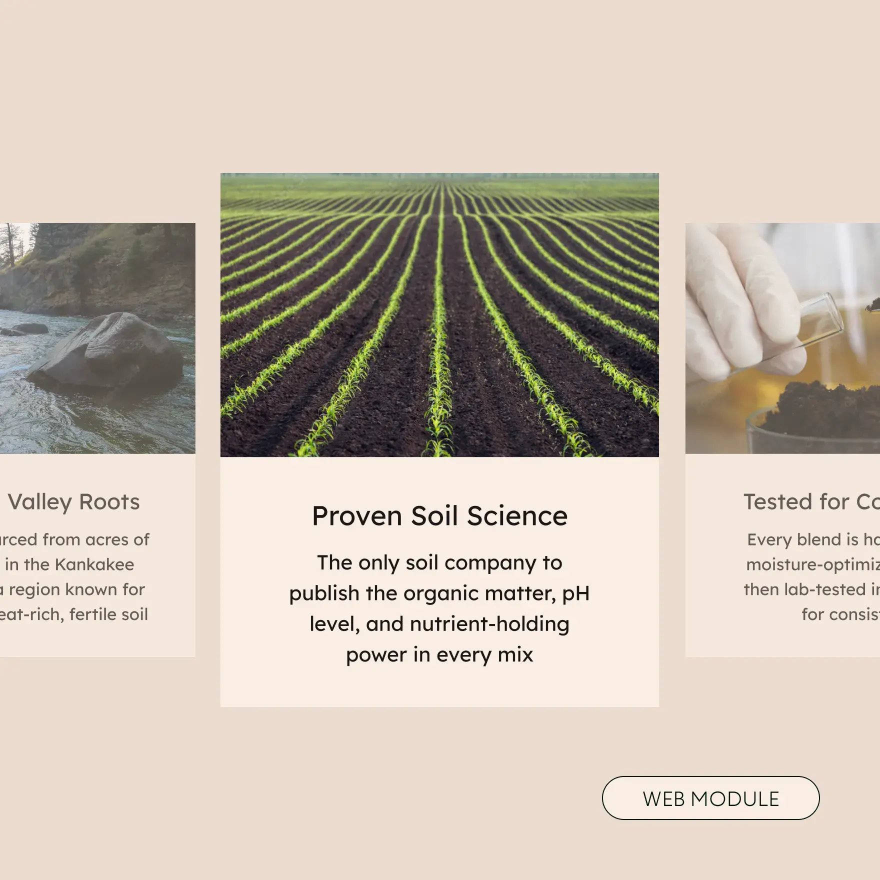 Talon-Terra-Branding-Graphic-04