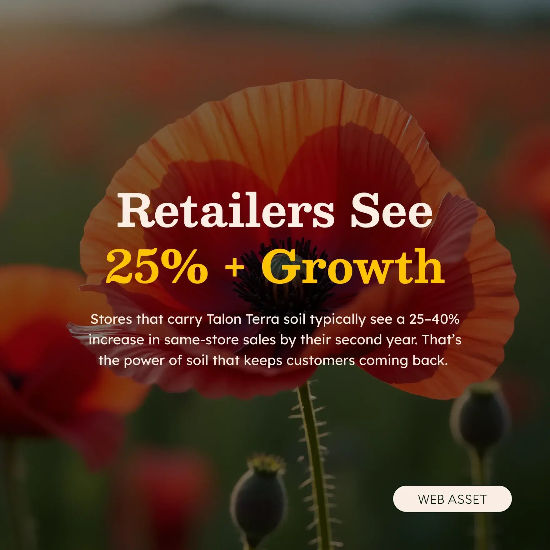 Talon-Terra-Branding-Graphic-05