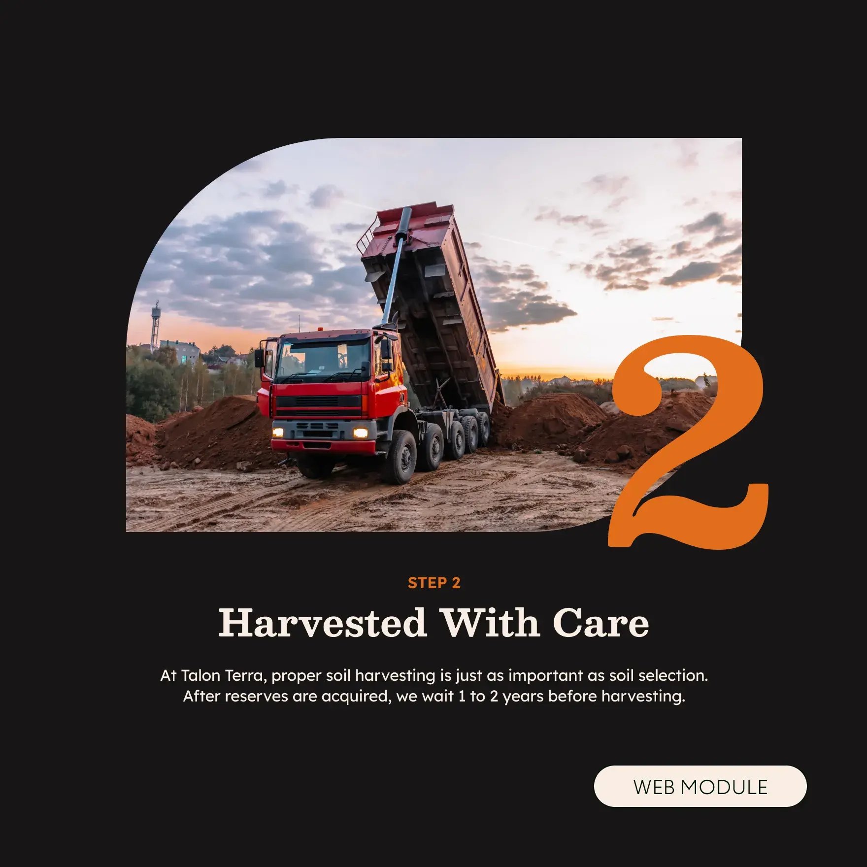 Talon-Terra-Branding-Graphic-07