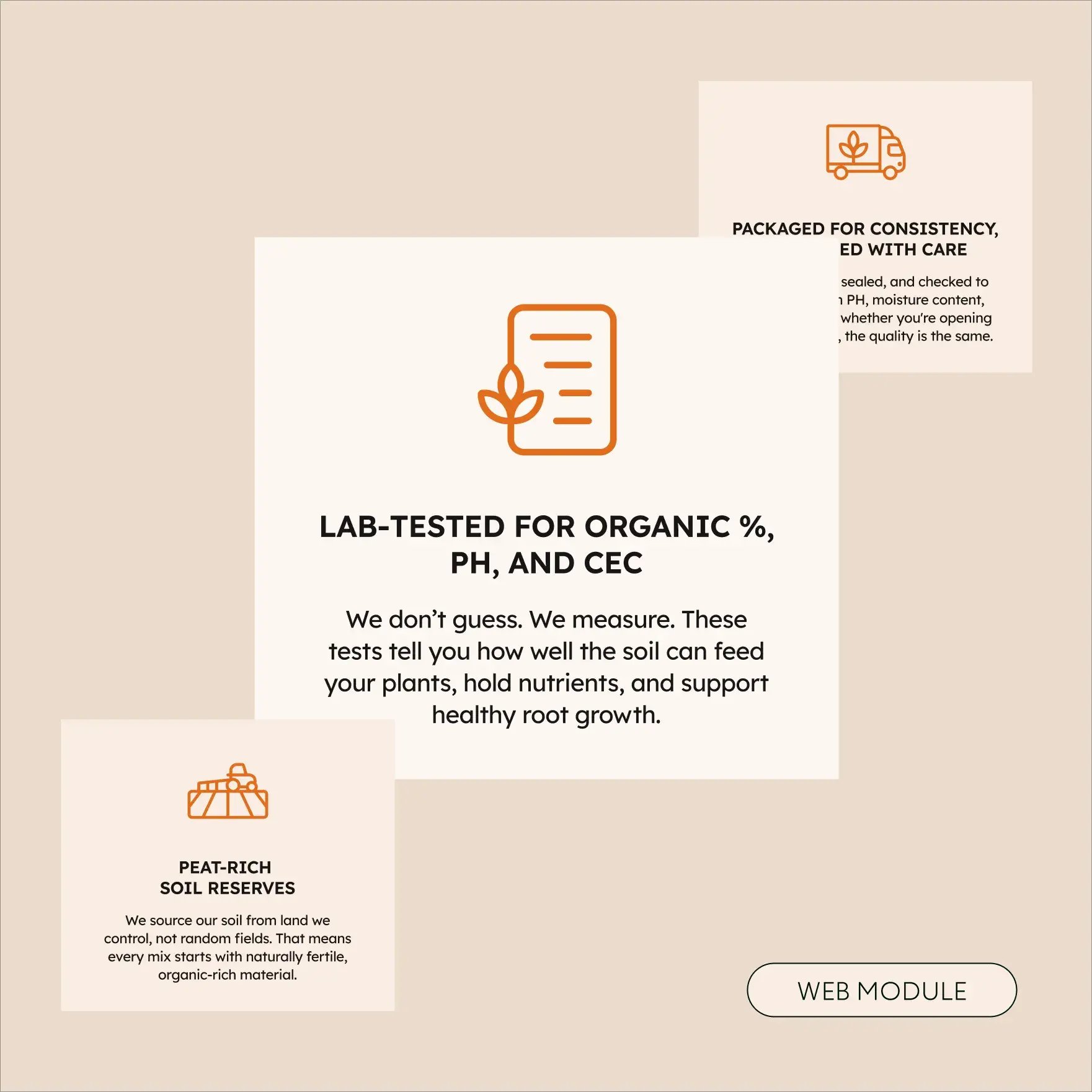 Talon-Terra-Branding-Graphic-08