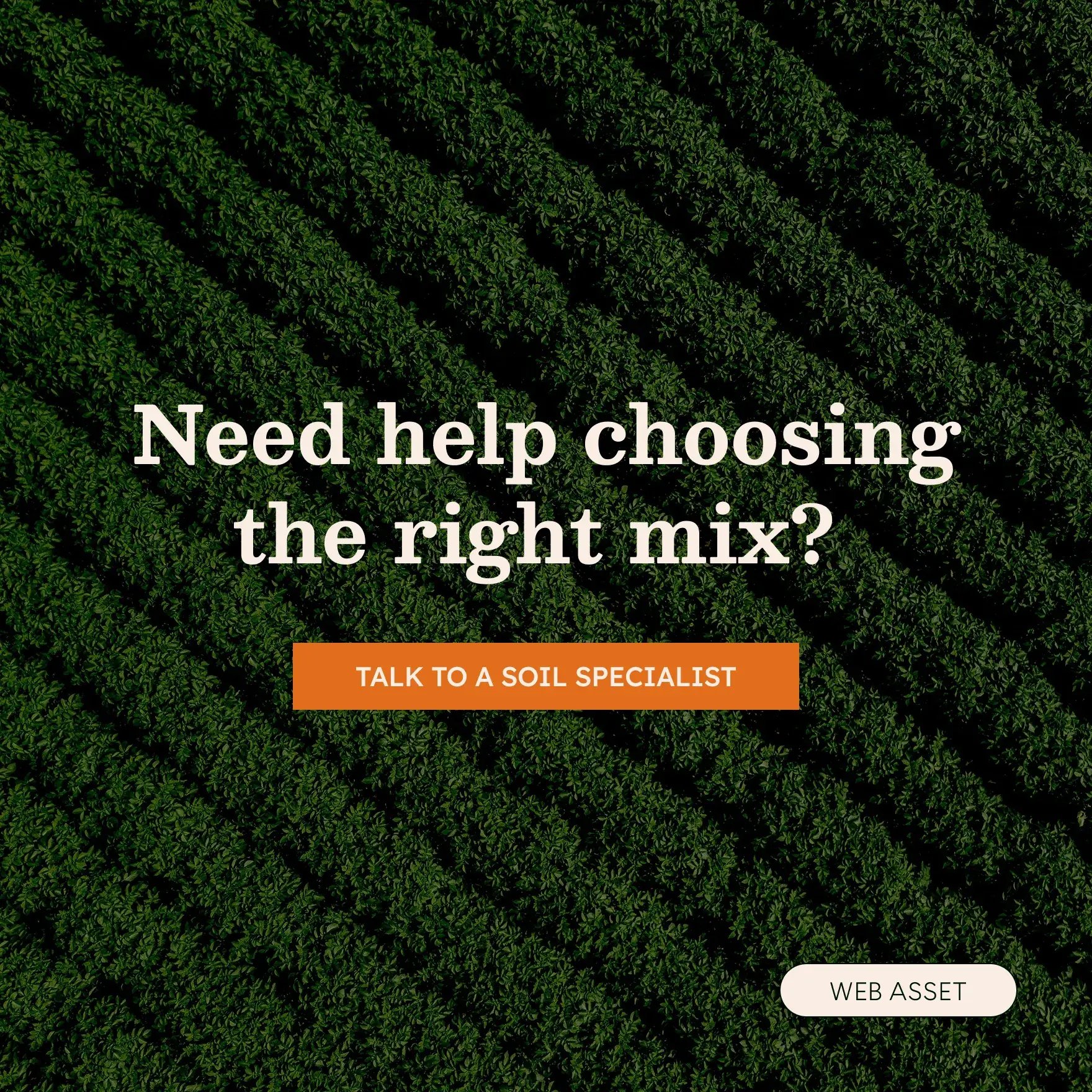 Talon-Terra-Branding-Graphic-09