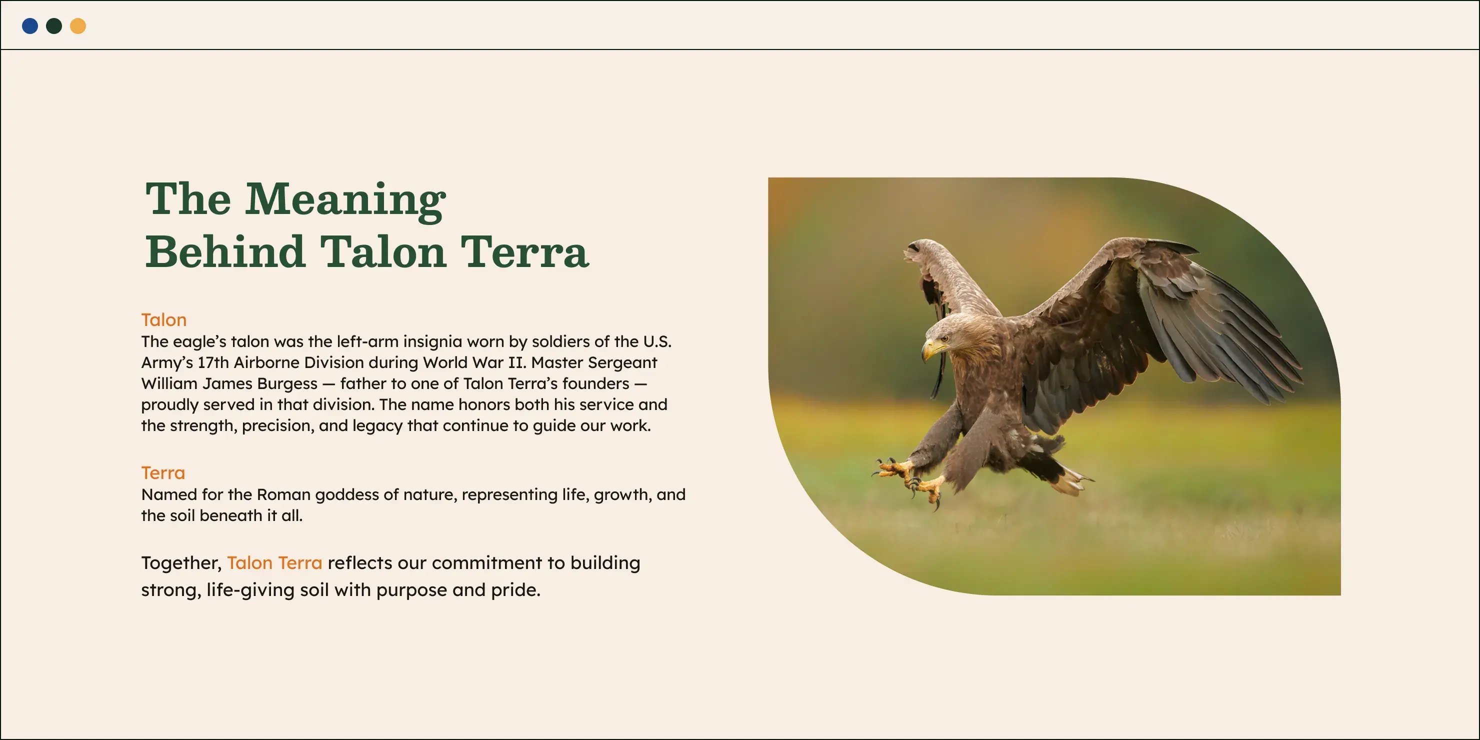 Talon-Terra-Website-Design-02