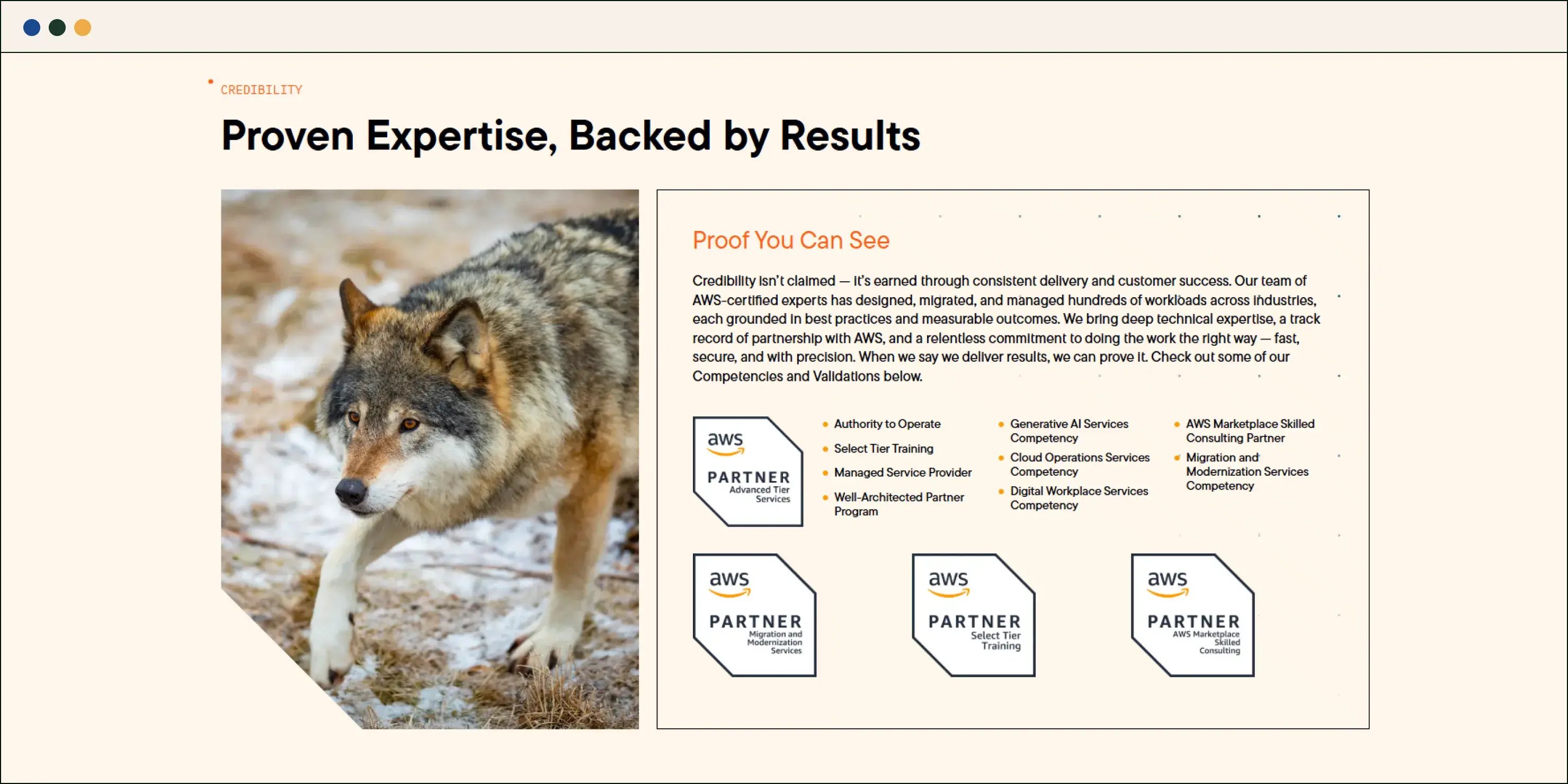 Website-Design-ATG-thumbnail-012