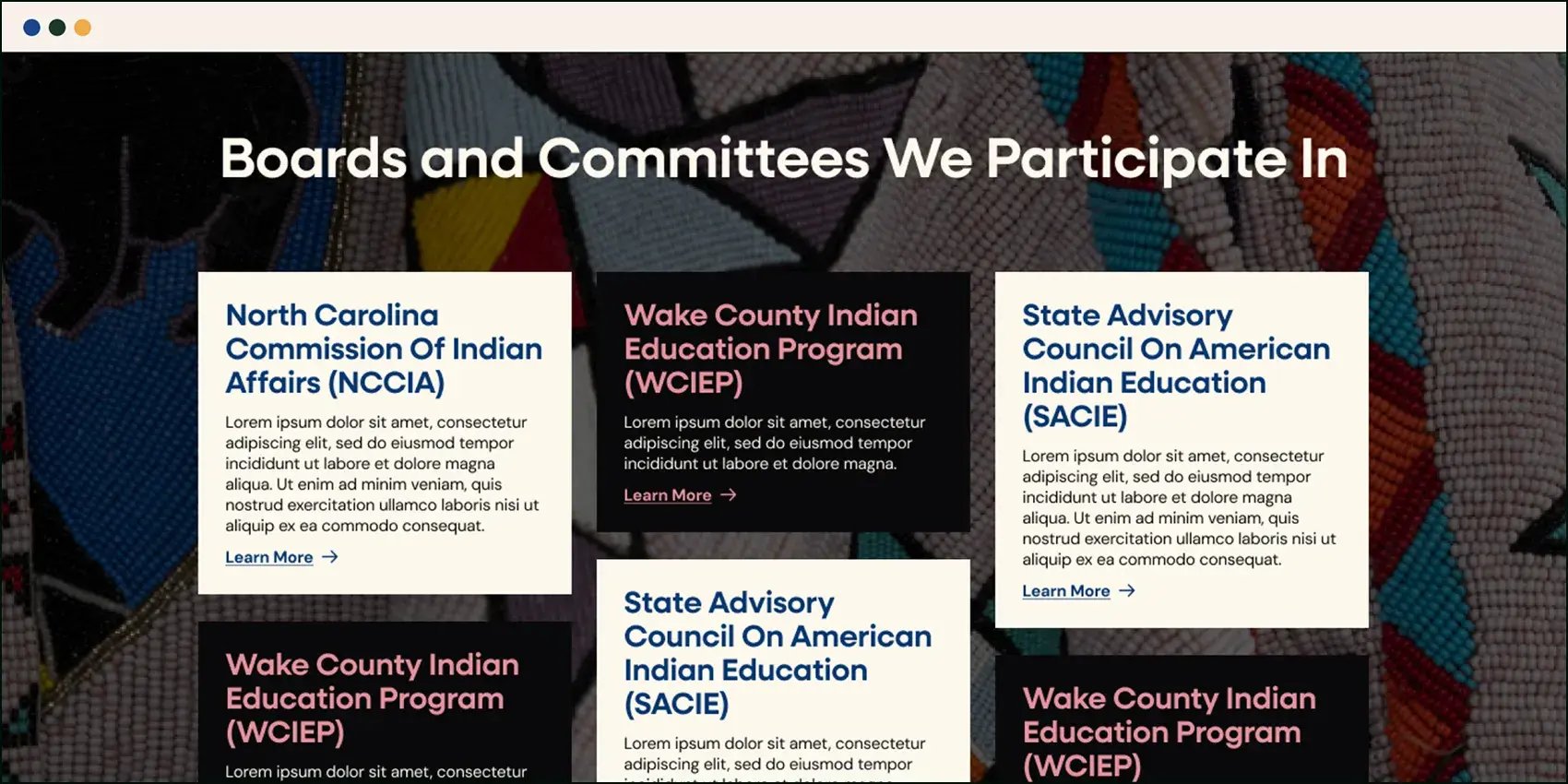 Website-Design-TNAS-thumbnail-03